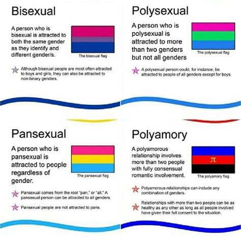 whats polysexual|Polysexuality: Myths, Types and Misconceptions